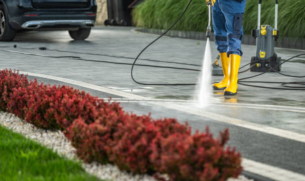 Best Residential Pressure Washing Services  in Williamsburg, KY